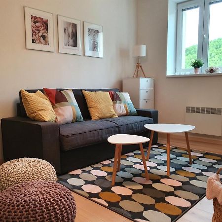 Apartmány Břachovna Mikulov v Krusnych Horach Exterior foto