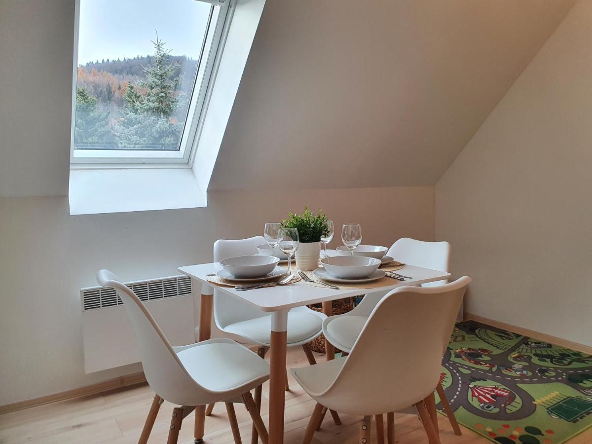Apartmány Břachovna Mikulov v Krusnych Horach Exterior foto