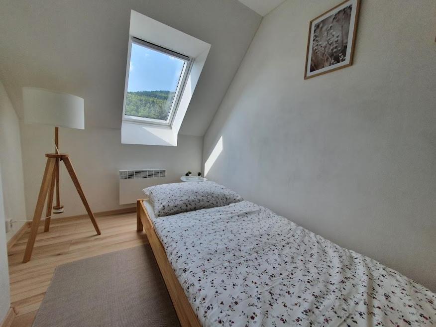 Apartmány Břachovna Mikulov v Krusnych Horach Exterior foto